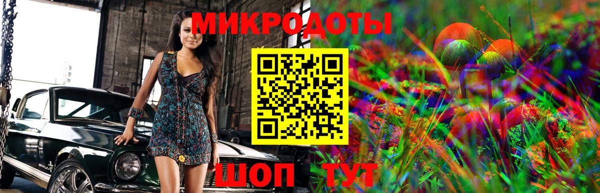 Псилоцибиновые грибы Psilocybe  Вход с VPN  Кубинка 