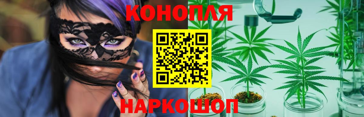 Канабис марихуана Кубинка